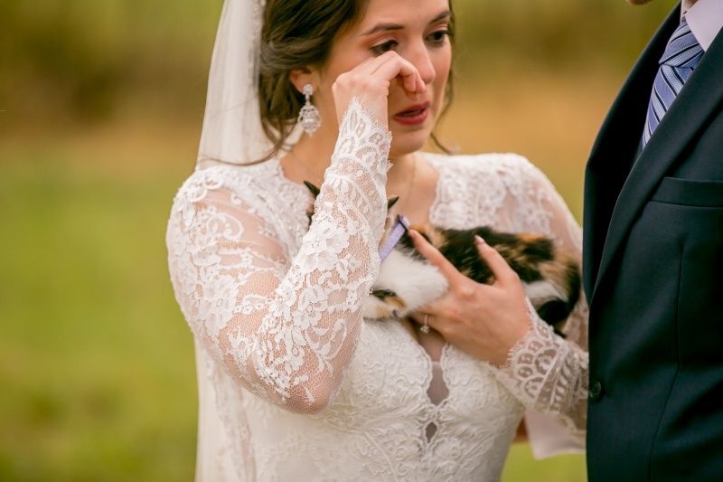 FB Wild and Wonderful Photography