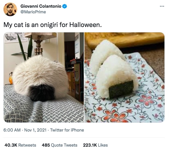 ▲拿出對比圖，發現一模一樣