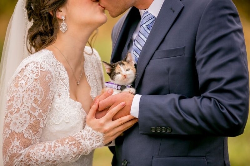 FB Wild and Wonderful Photography