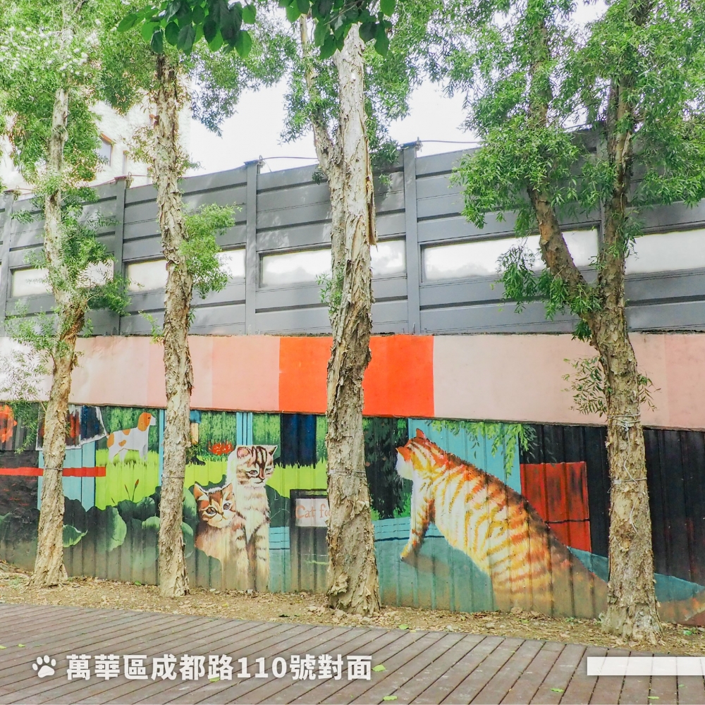 北市首座貓公園!貓咪彩繪牆