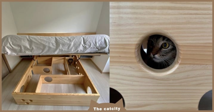 專屬遊樂園！傢俱公司推出「喵的床底迷宮」，貓奴笑：晚上不用睡了