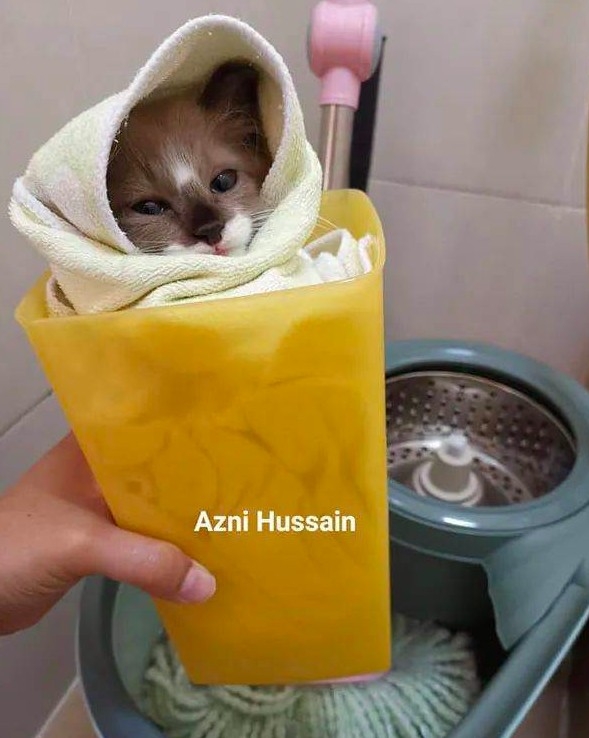 FB Azni Hussian
