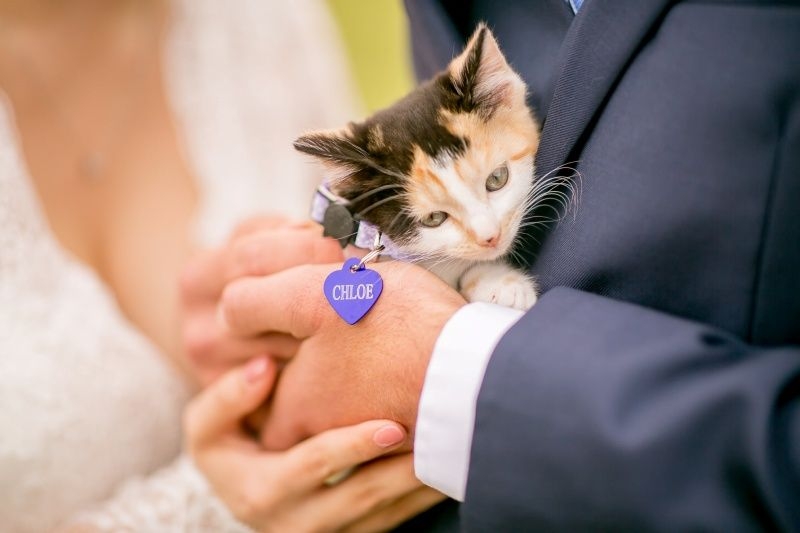 FB Wild and Wonderful Photography