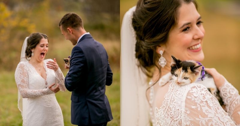 FB Wild and Wonderful Photography