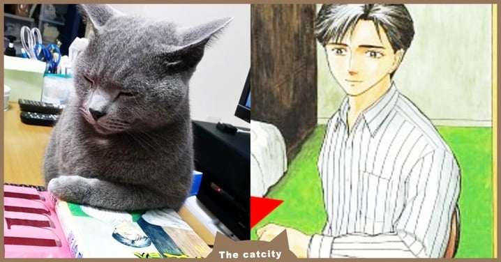 漫畫男主是你！日本推主拍下「貓咪睡姿」超傳神 pose　網笑：神還原