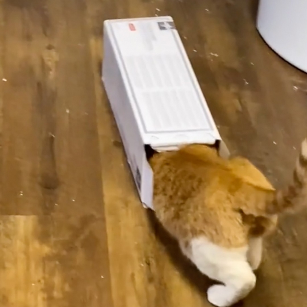 朕覺得這裡不對勁！