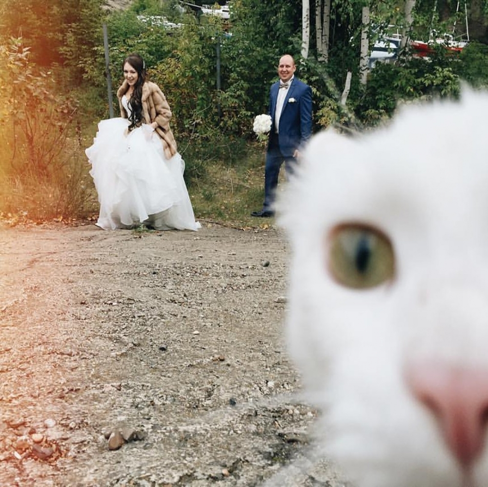 攝影師：「好啦～拍你！」