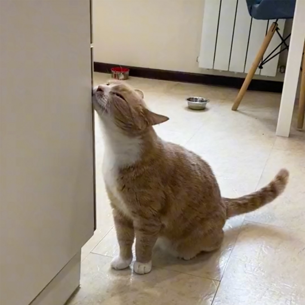 快把「兇器」收走！就趁現在！