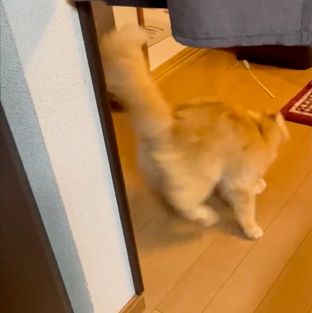 開溜咯!