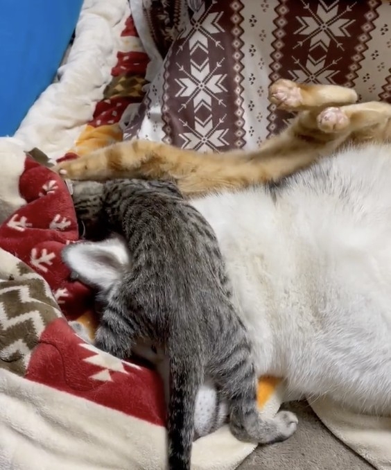 photo from Twitter/@b09a2032c