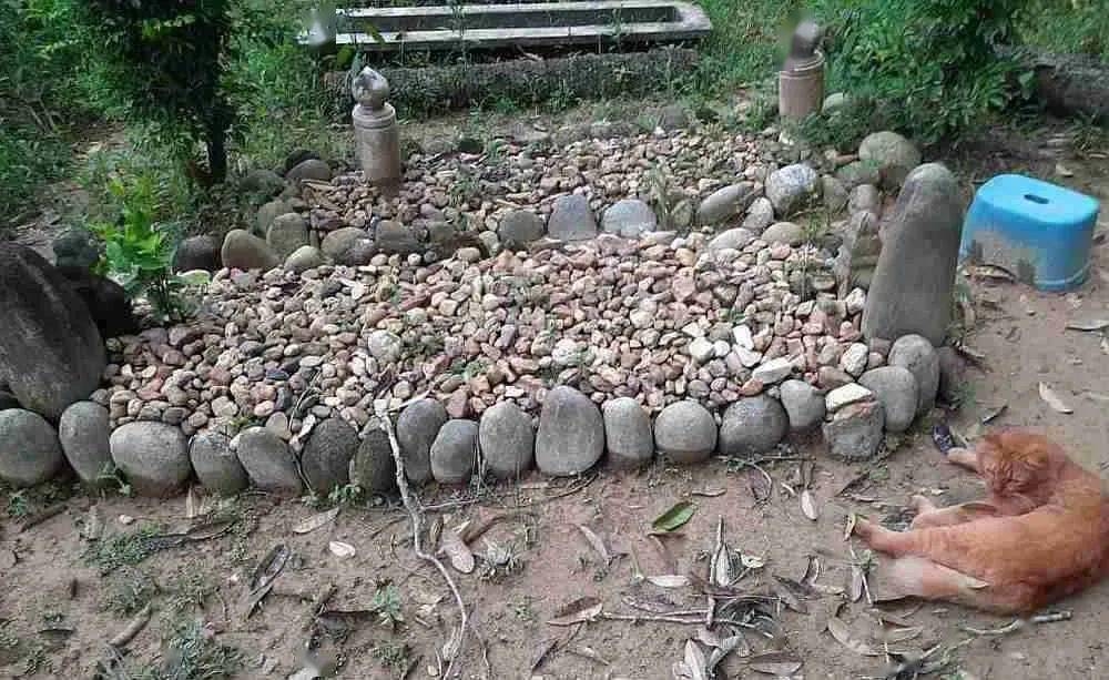 三年如一日的「娜娜」