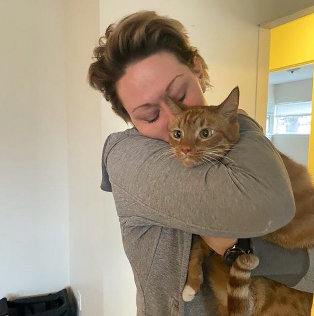 失而復得的貓咪