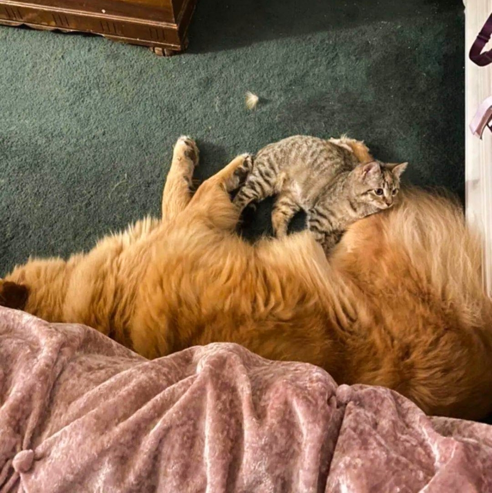 亦是「奴才」亦是「母親」