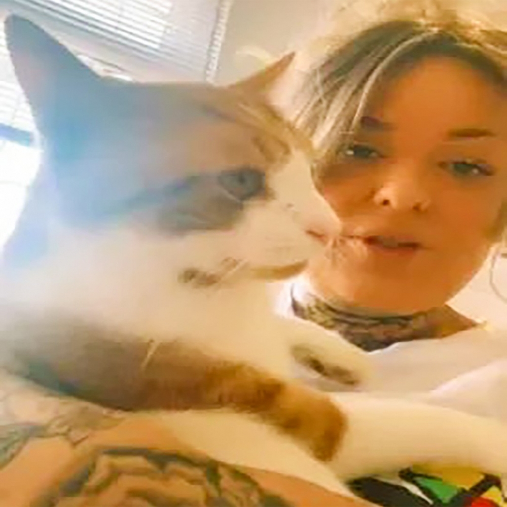 喵:「幹嘛說出來!朕不要臉的嗎!」