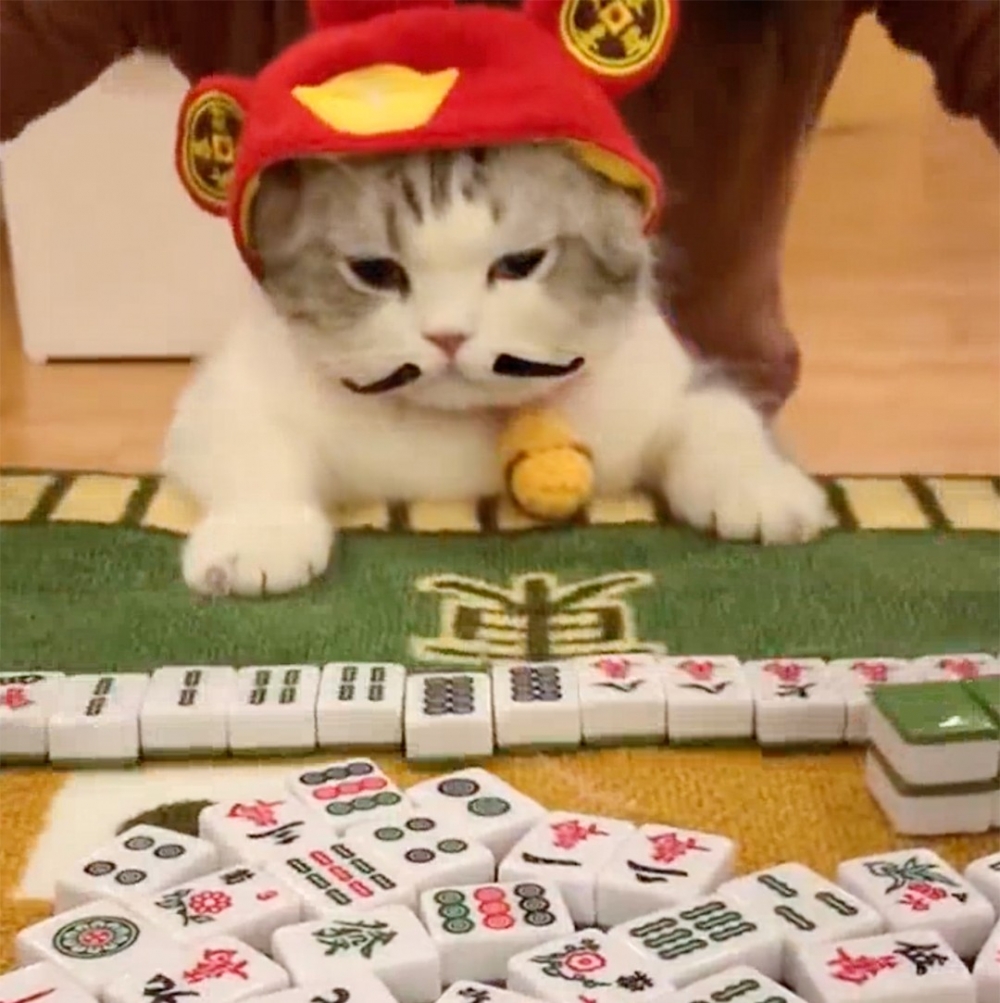 記得我們說好的，今年罐罐翻倍！