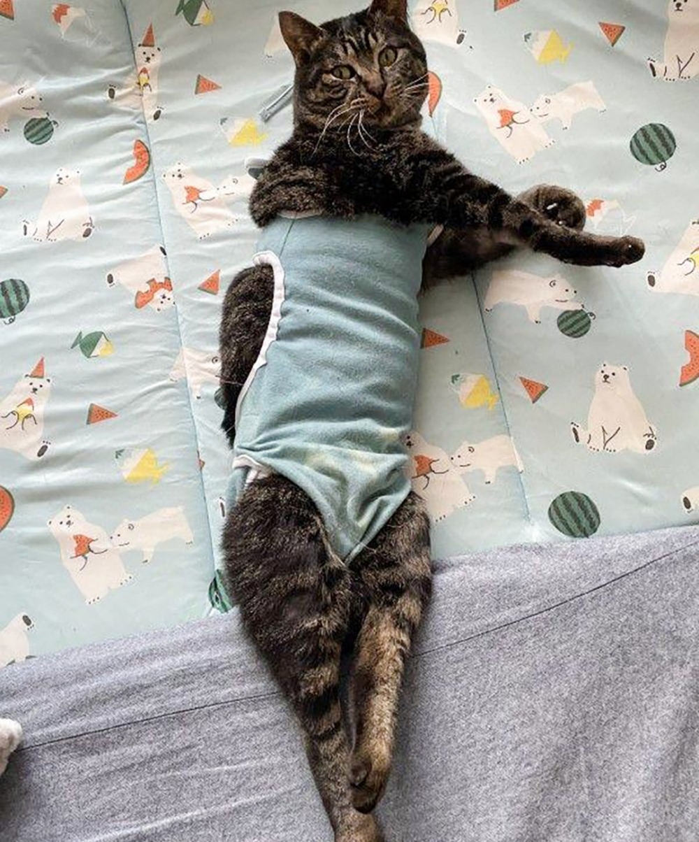 別想拍到朕的醜照！