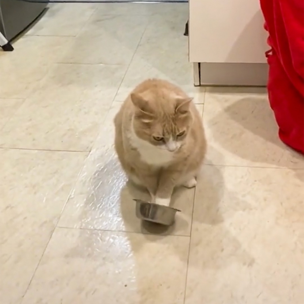 奴才：「耳朵····要聾了」