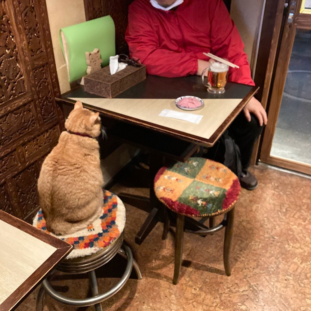 客人：「心空❤️」