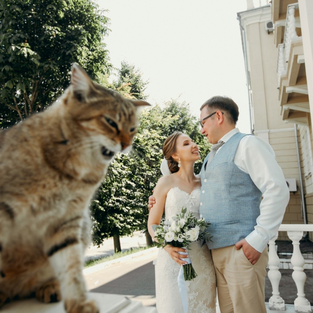 網：「不要這樣啦～?」