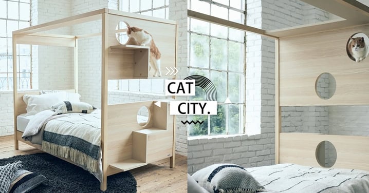 日本爆紅「貓咪共眠床」設計超豪華卻令奴才卻步？網友傻眼：這樣還能睡嗎？