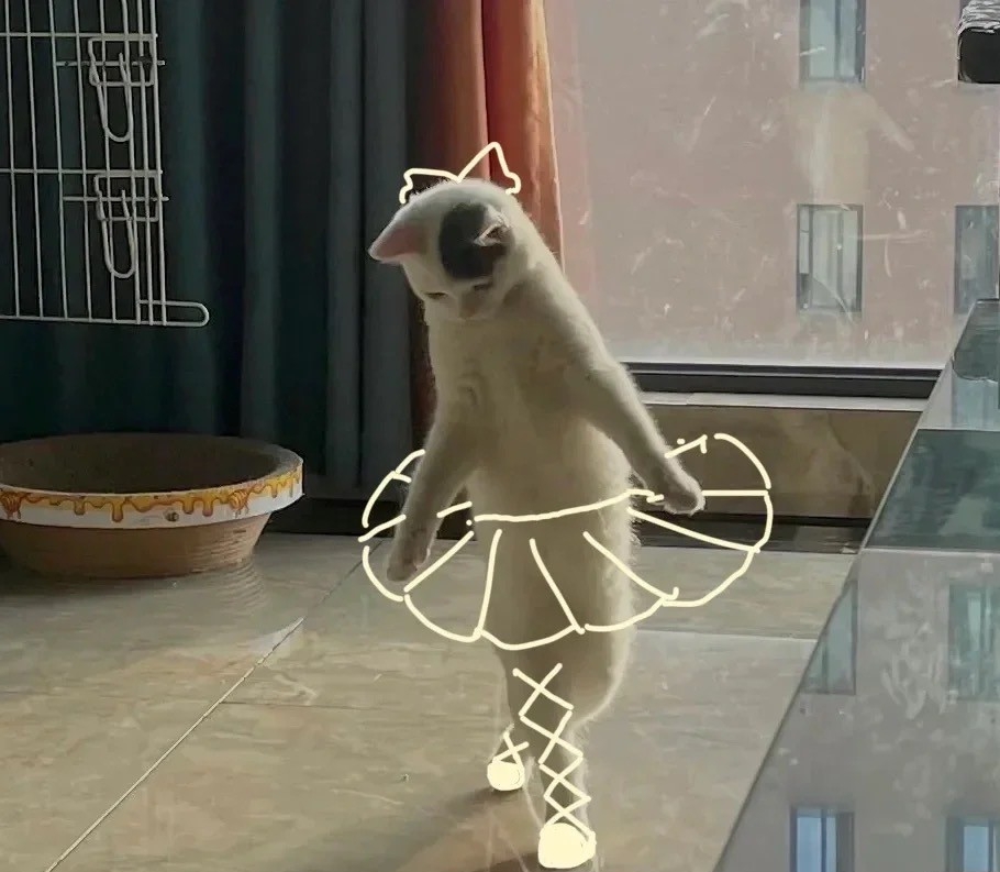 朕果然貌美如花!