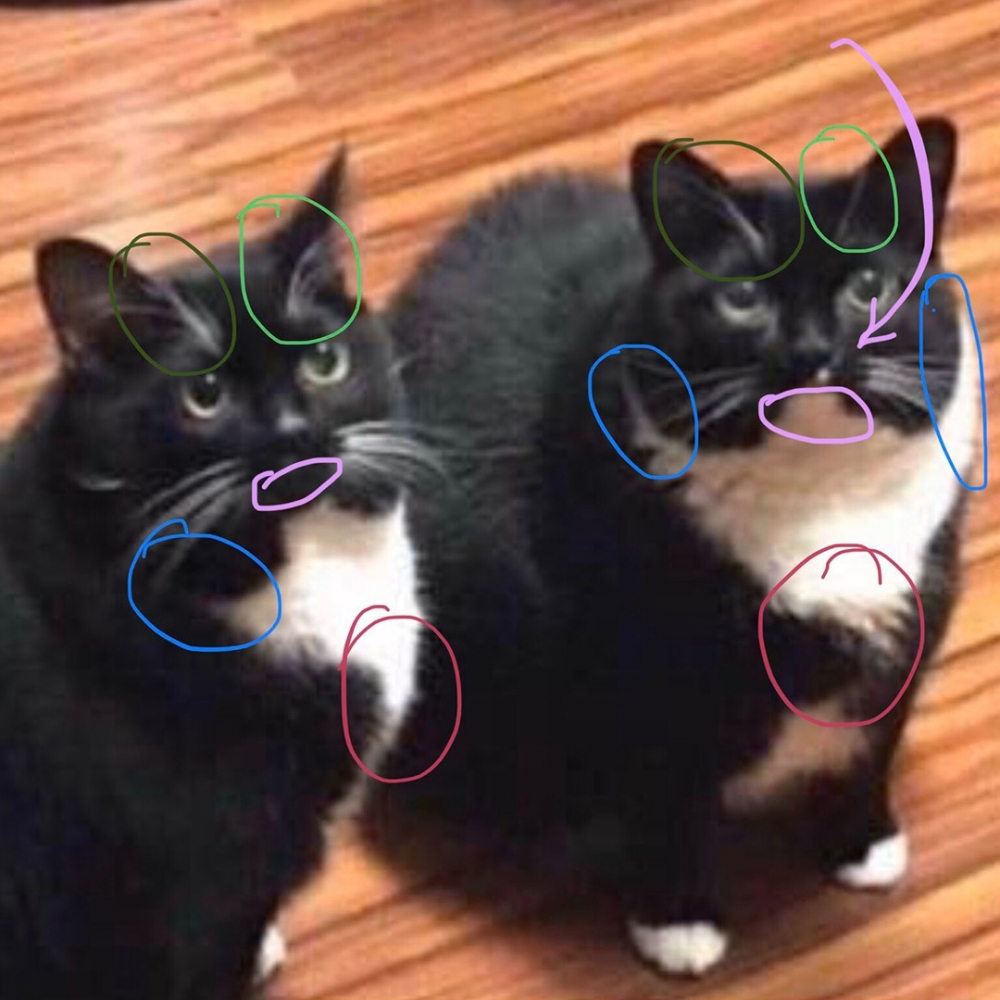 網友的搜索成果~