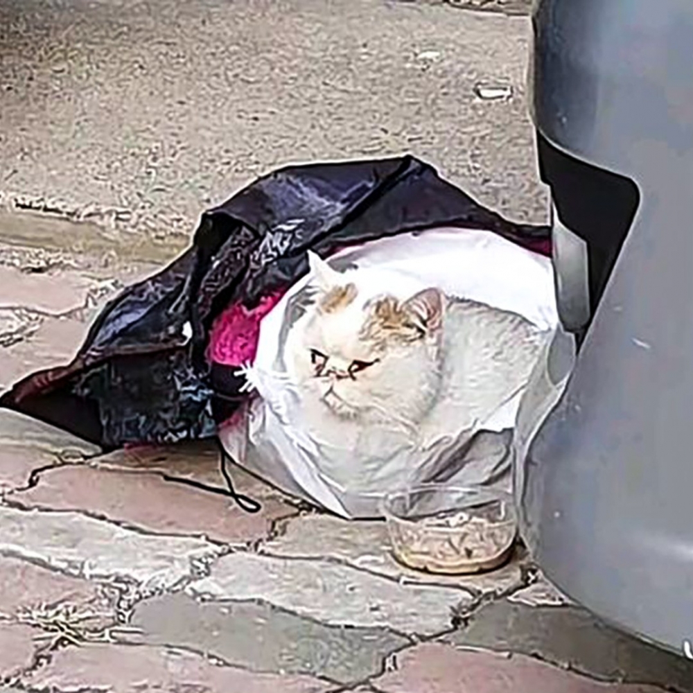 安靜得讓人心疼