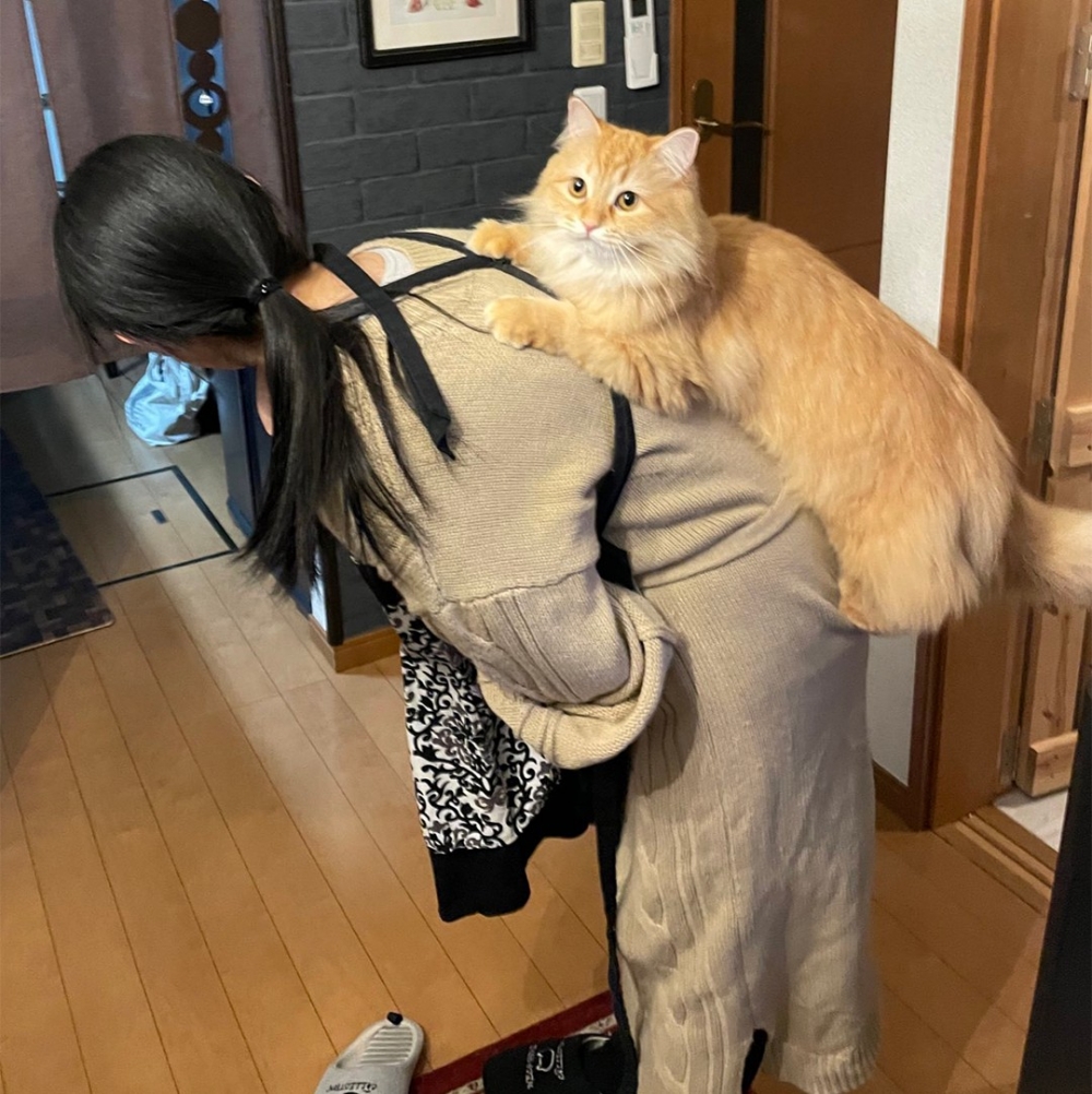 喵：「最愛媽媽惹～」