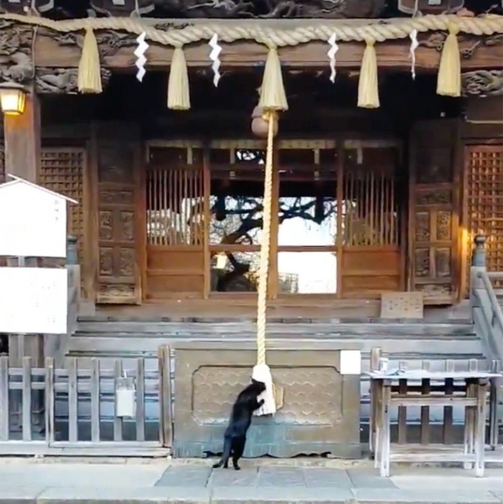 拉！拉！拉···拉不動了?