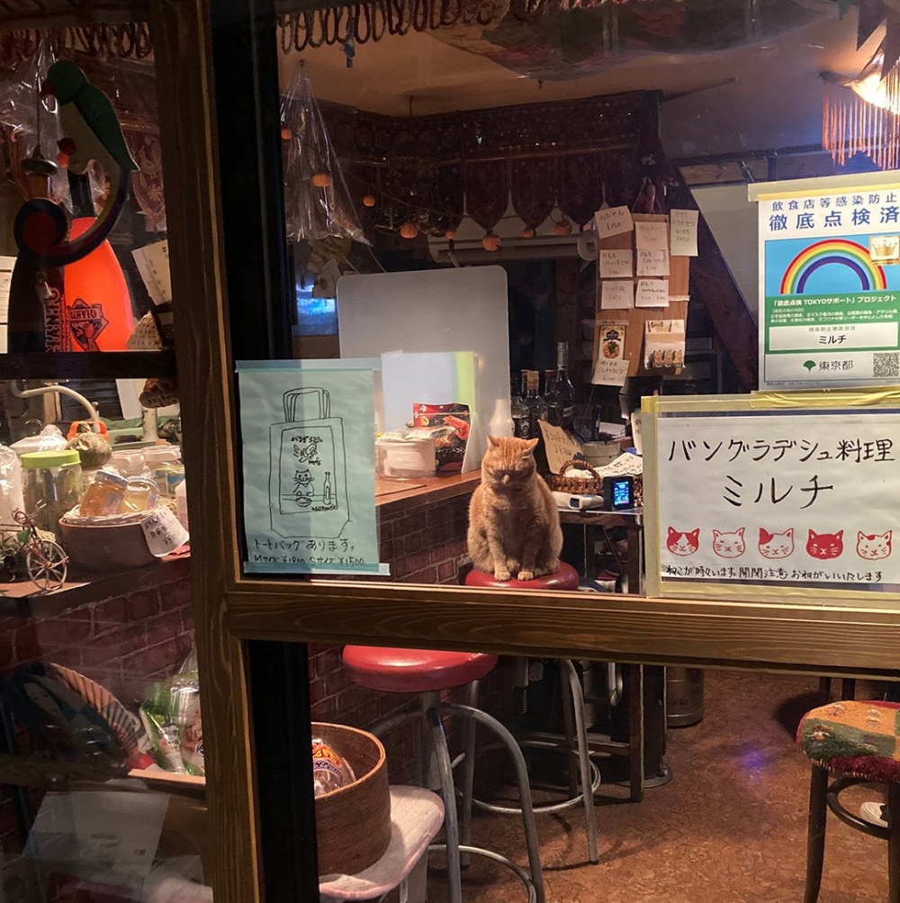 奴才：「那我就先去睡啦～」