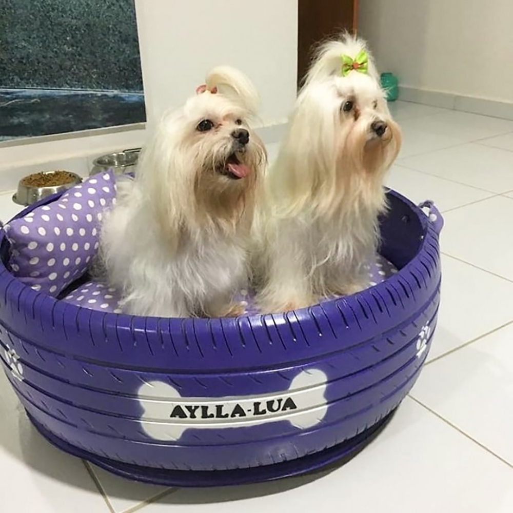 汪：欸嘿！是大床耶～