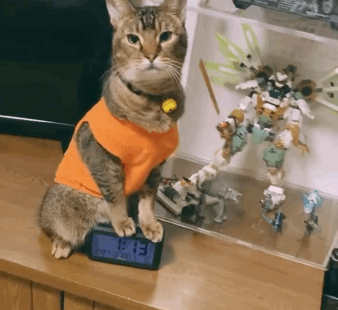 夜歸?長能耐了呀!