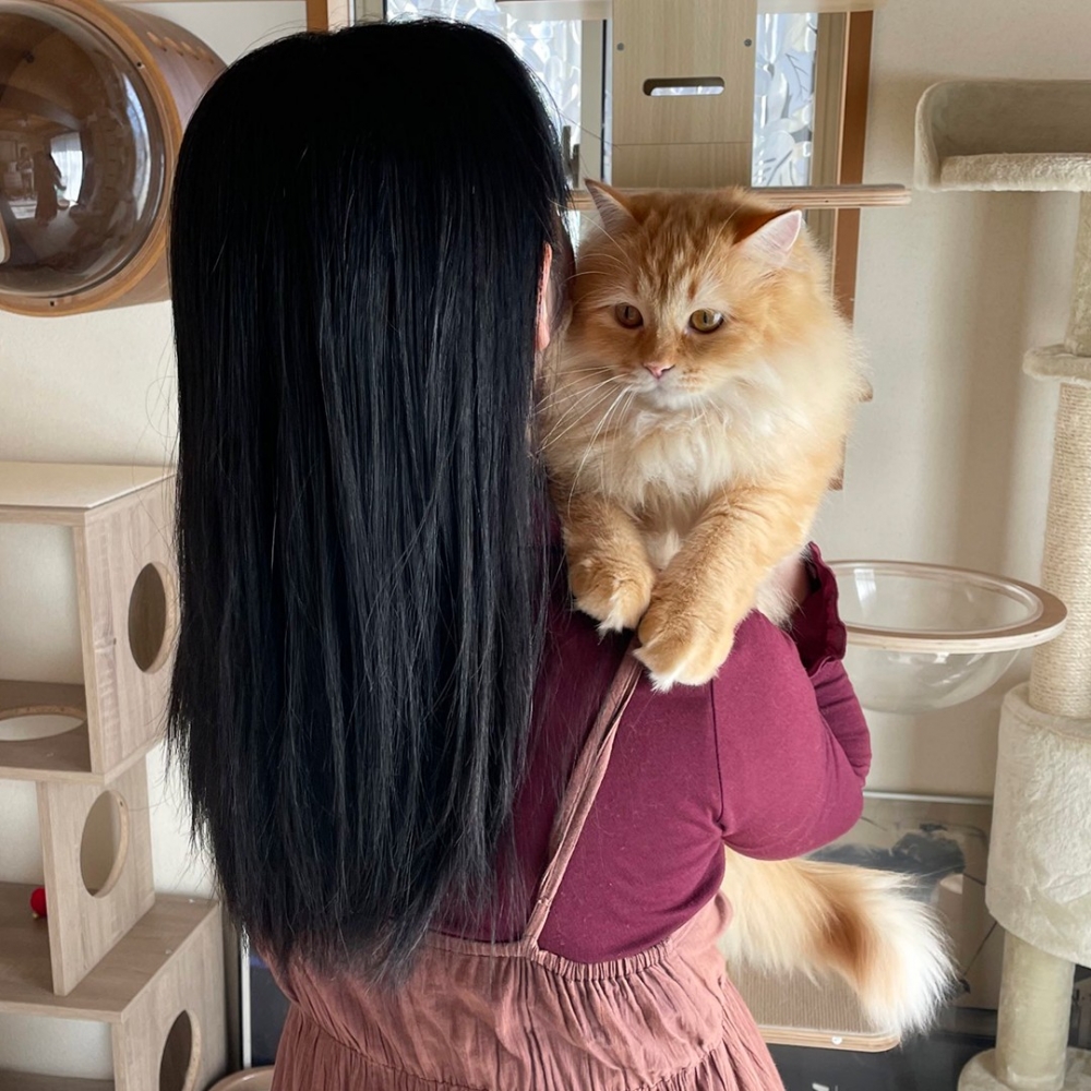 爪爪收起，乖乖地趴在媽媽身上～