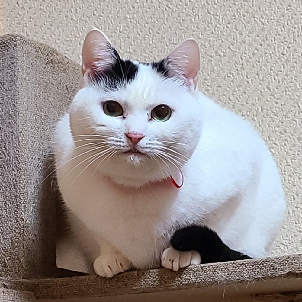 網友：心！空！