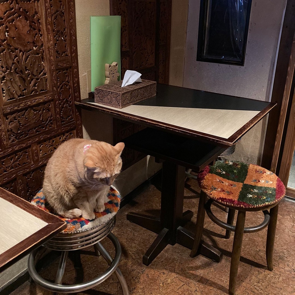 客人血槽已空：「立刻回來！」