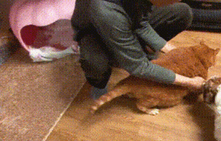 大膽奴才!你竟然逼朕運動