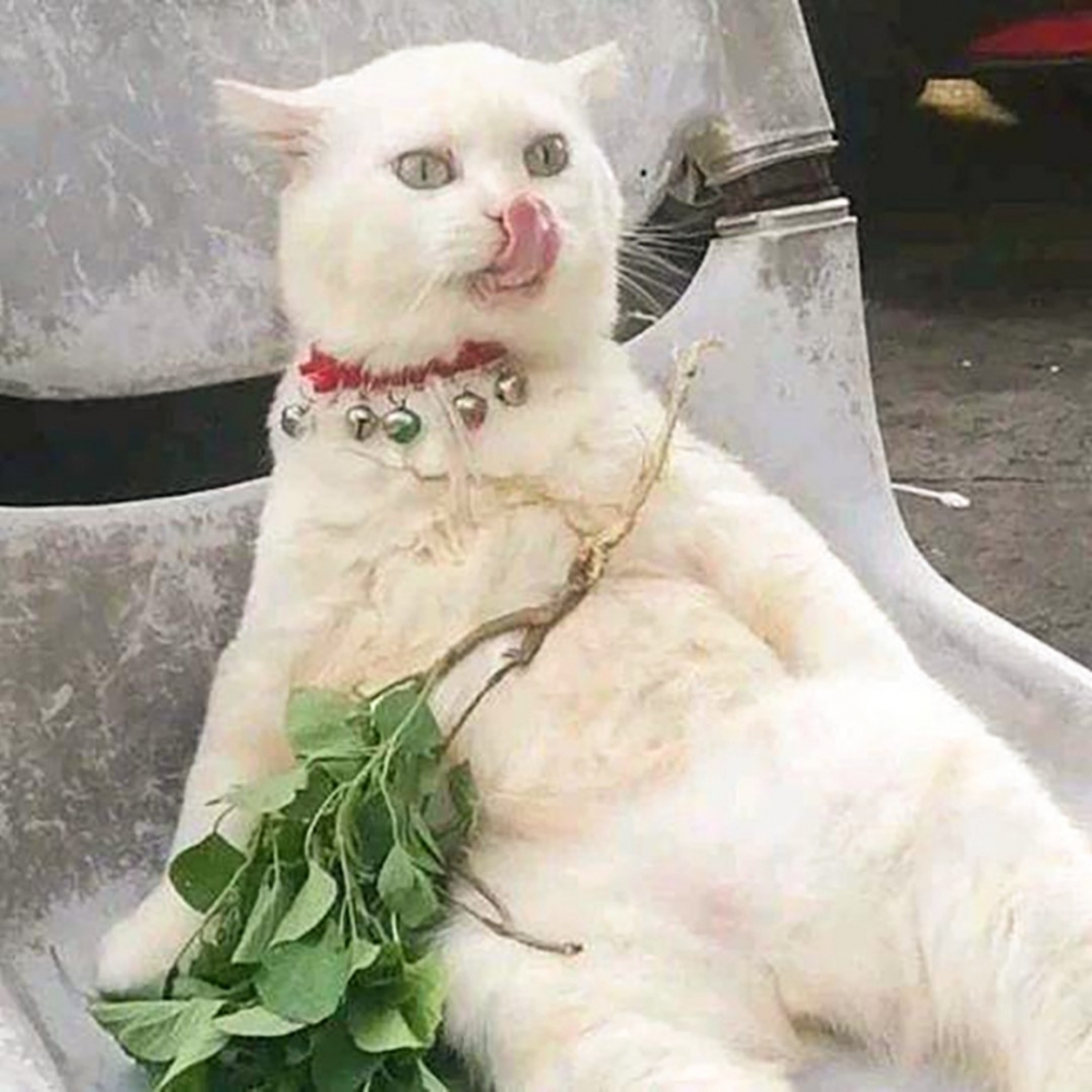 那邊的不許偷懶！