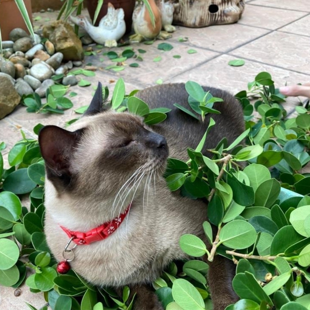 又是美好的一天!
