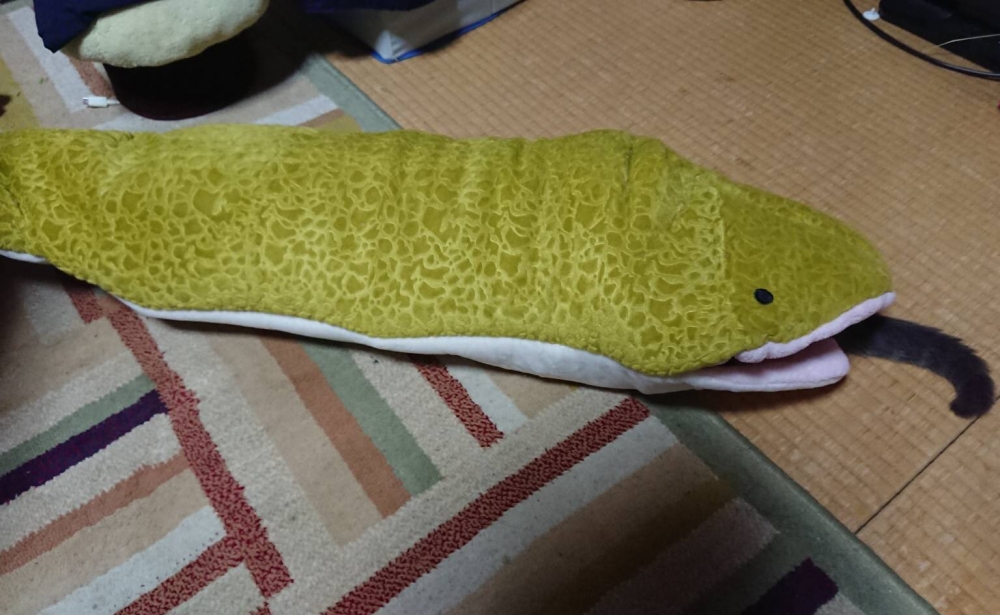 Photo form Twitter/@takeda_ma