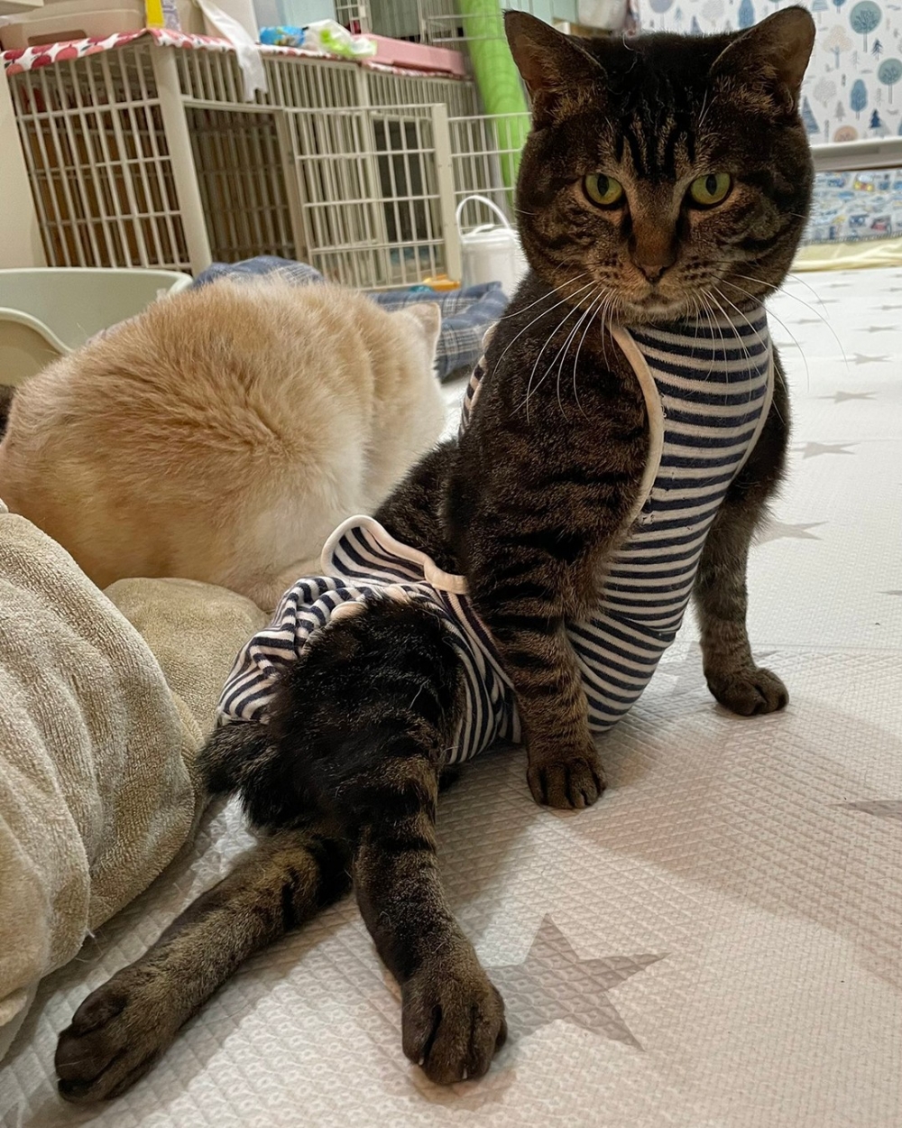 網：「流鼻血惹～」