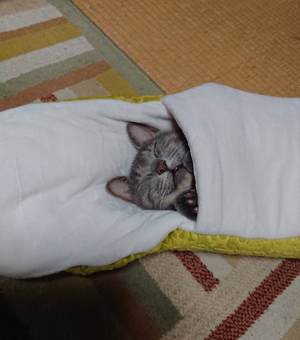 Photo form Twitter/@takeda_ma