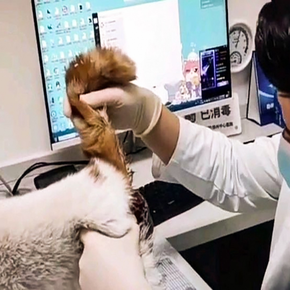 手術治療~成功!