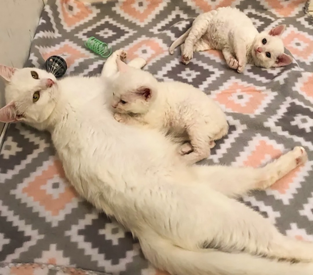 以後都是一家人啦~