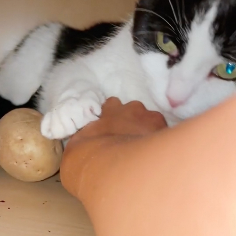 奴才：喔不！被發現了?