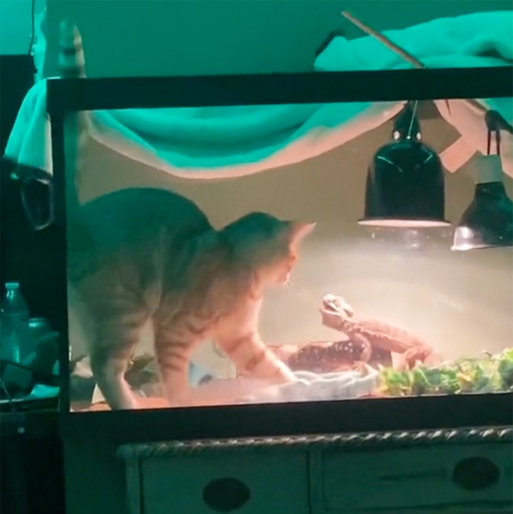 再次友好相處嘛～