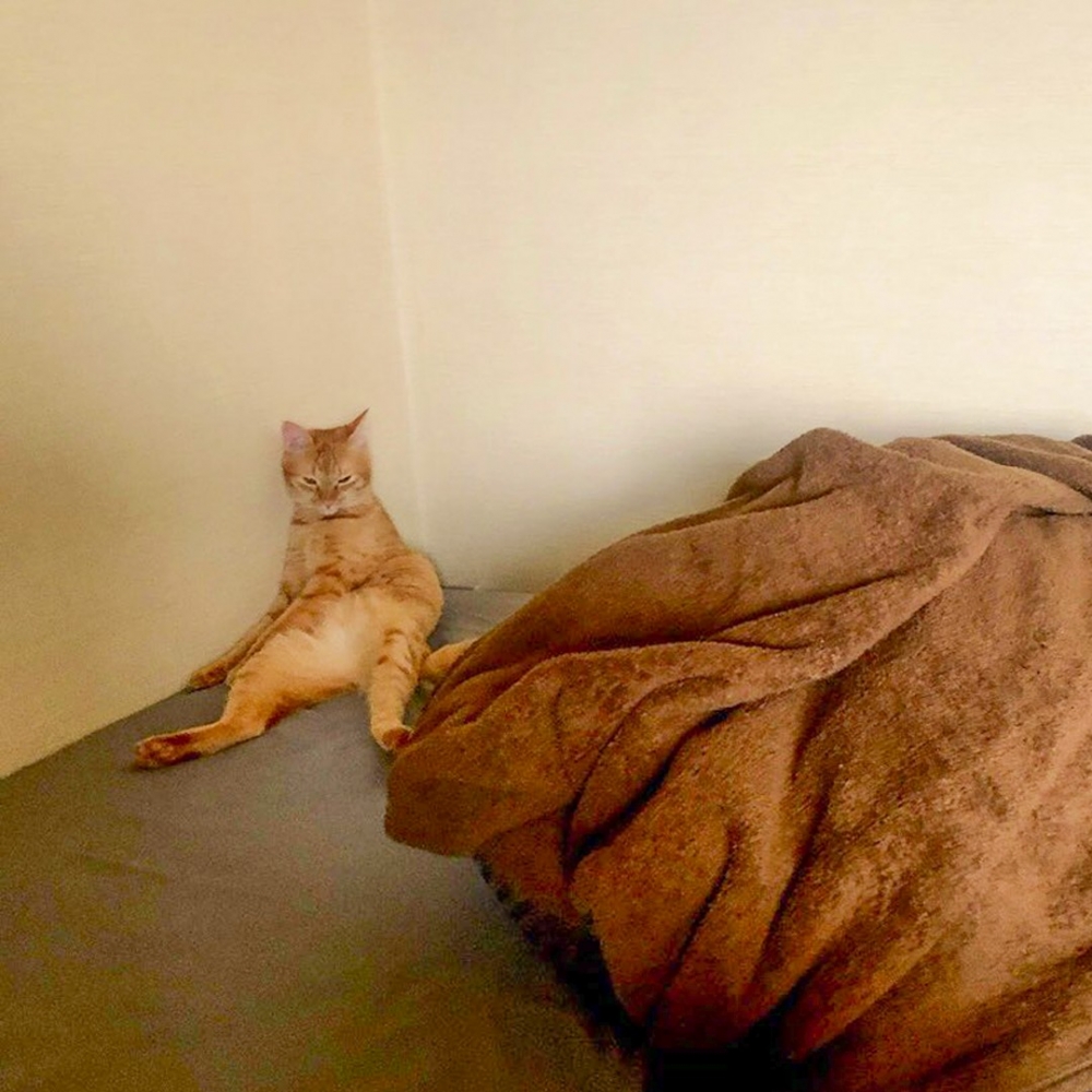 奴才：「糟了！這下誤會大了！！！」