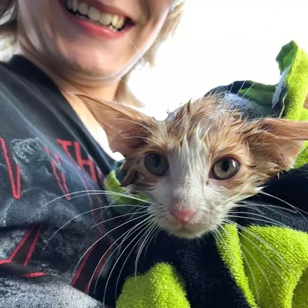 成功救出小貓咪了!