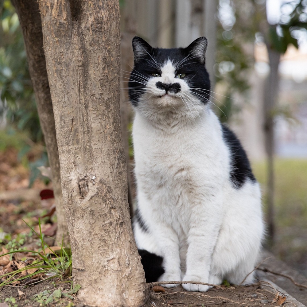 網：「瑟瑟發抖!」