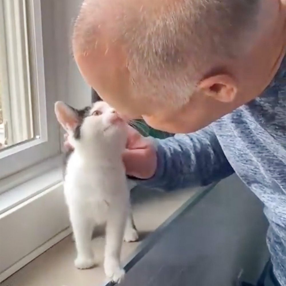 喵:「原來這是奴才·的味道!」