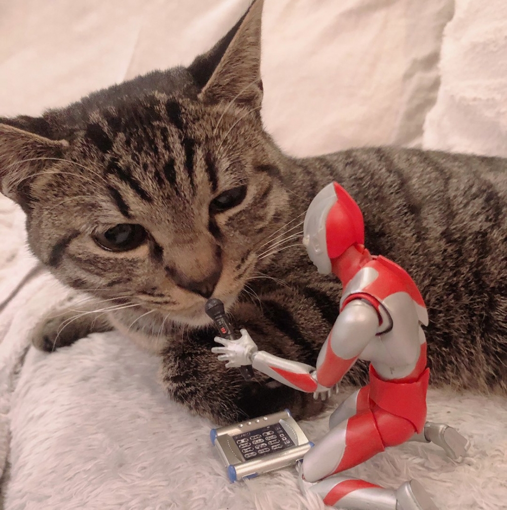 給你個眼神自行體會～